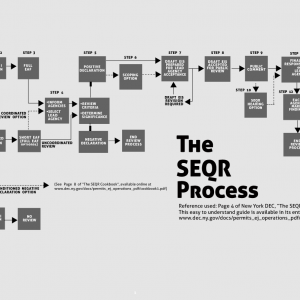 the-seqr-process